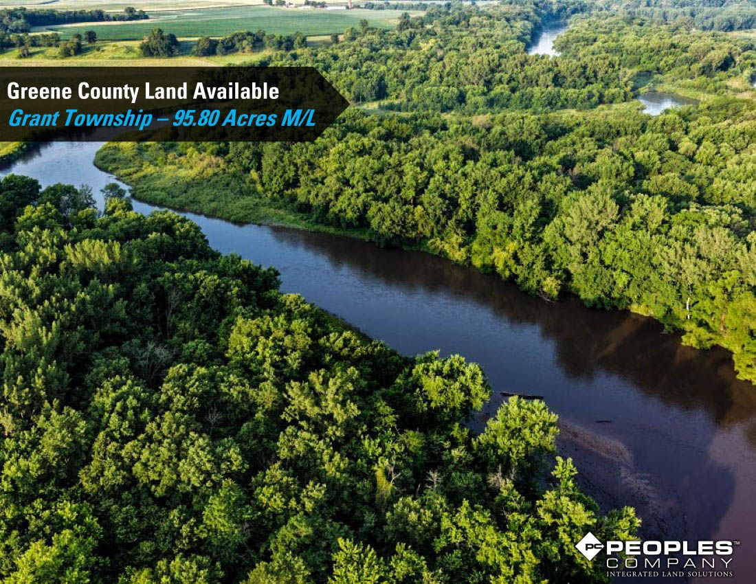 Listing Photo: Greene-Co-Rec-Land-Available-95-Acres-19559 (14)